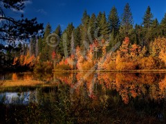 NEVADA Lake Tahoe State Park Autumn